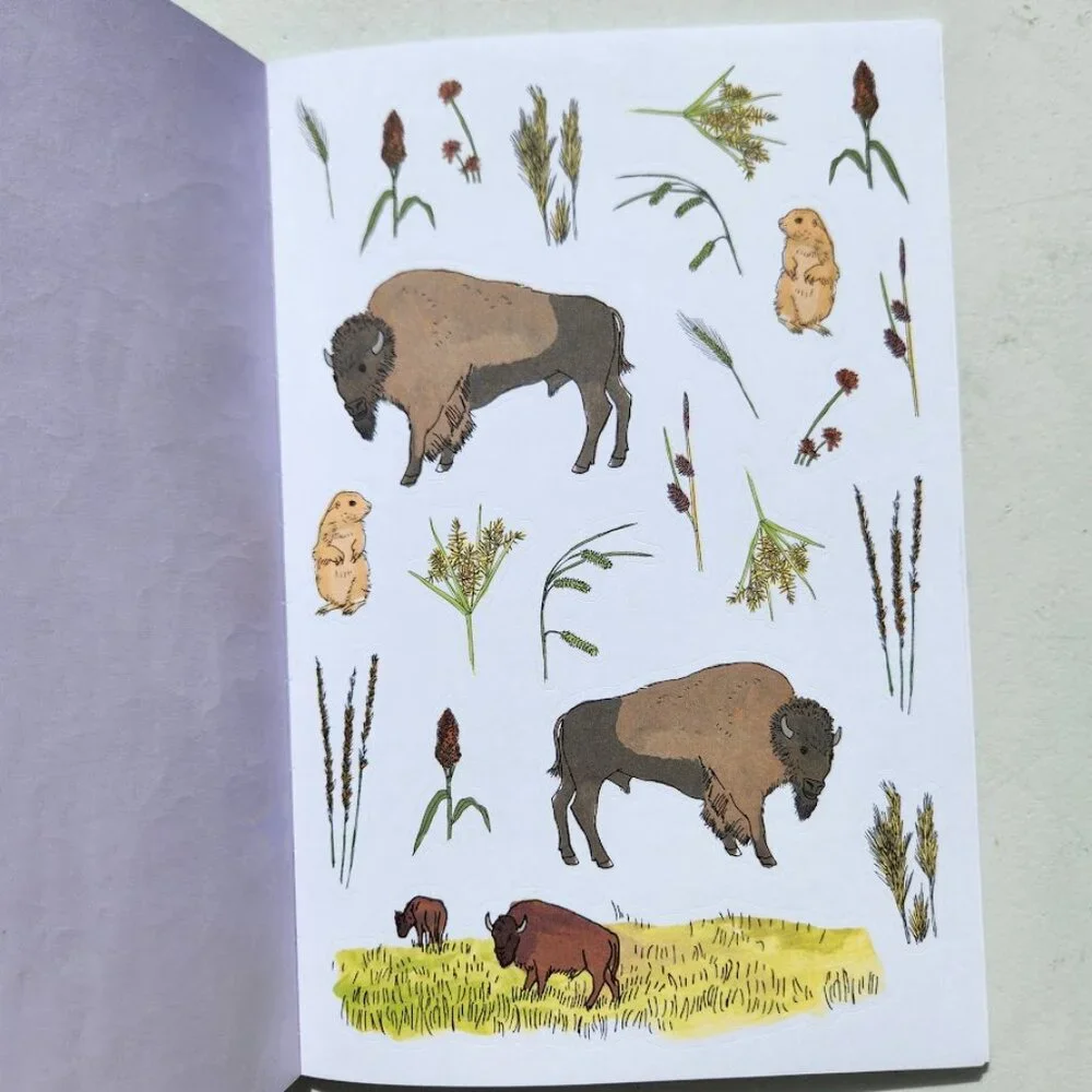 Nature Anatomy Sticker Book Julia Rothman 750 Stickers birds, feathers, wildflow